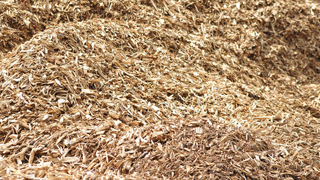 Collectif Bois Bocage 35 5 Un gros tas de copeaux de bois secs et brun clair, étroitement emballés, recouvrant tout le cadre et mettant en valeur une précieuse source d'énergie.