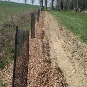 Vente de bois paillage 4 Une rangée de jeunes arbres, protégés par des grillages, borde un chemin de terre, dont les pieds sont recouverts de copeaux de bois. Le sentier serpente à travers des champs herbeux, évoquant le charme d'un bocage, menant vers des arbres lointains.