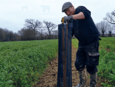 Paillage de haies et agroforesterie 4 Un homme portant une casquette et des bottes se tient dans un champ, installant un paillage sombre dans le sol, avec des plantes vertes et des arbres sans feuilles en arrière-plan.