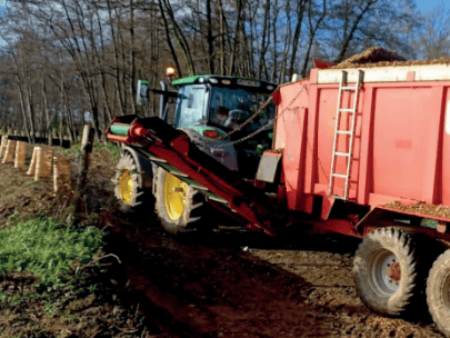 Paillage de haies et agroforesterie 5 Un tracteur charge des copeaux de bois pour le paillage dans une grande remorque rouge sur un chemin boueux à côté d'une rangée de jeunes arbres et d'une zone boisée sous un ciel clair.