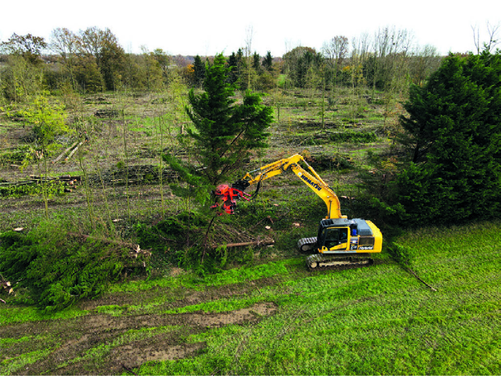 Une excavatrice jaune équipée d'un accessoire d'abattage d'arbres abat un grand conifère dans une zone de bocage herbeuse, où des arbres abattus dispersés laissent entrevoir une récolte de bois en cours, avec des forêts et des zones défrichées visibles en arrière-plan.