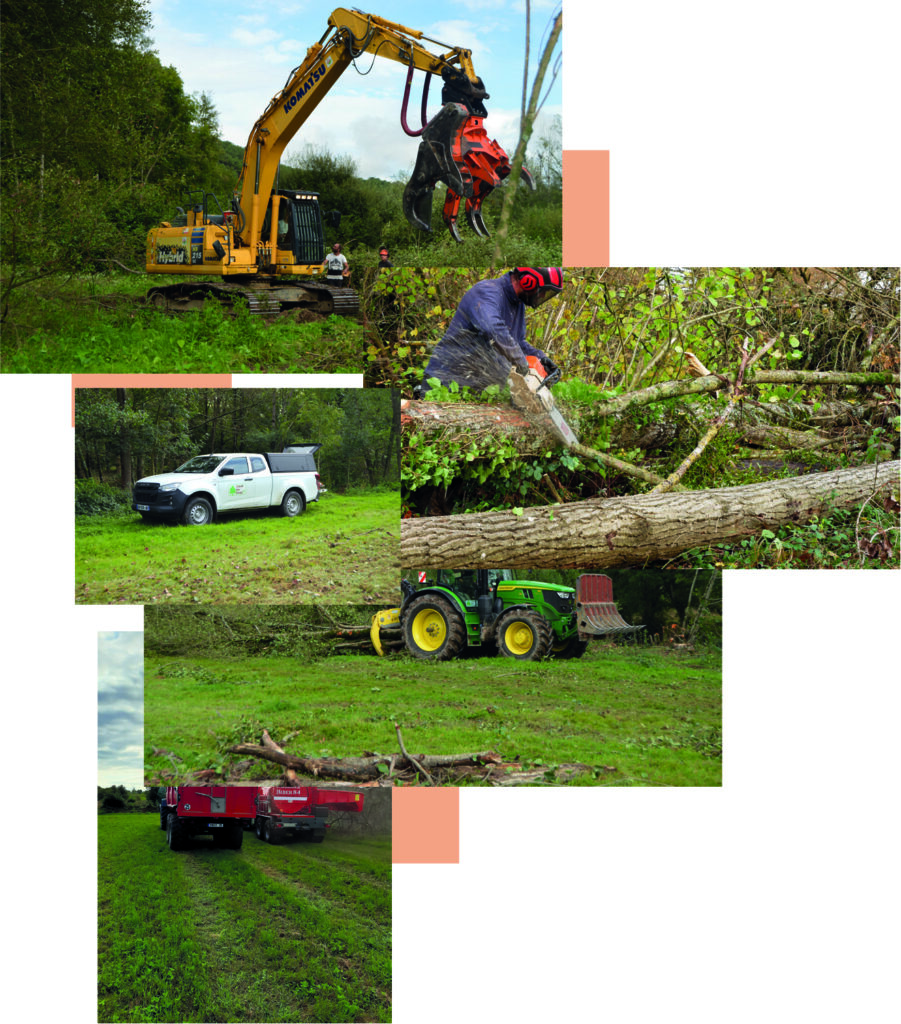 Un collage montre une excavatrice jaune avec une pince à arbre, un ouvrier sciant un arbre tombé, un camion utilitaire blanc, un tracteur vert et deux camions rouges sur un bocage herbeux pendant le défrichage des arbres.
